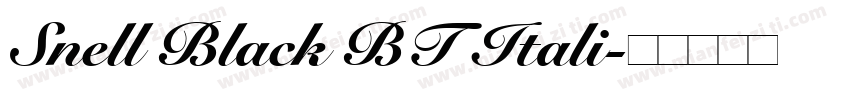 Snell Black BT Itali字体转换